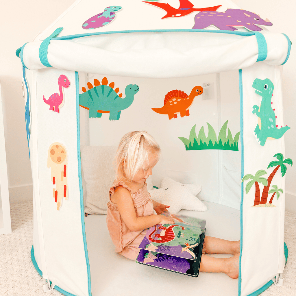 Dinosaur Adventure StickeeZ