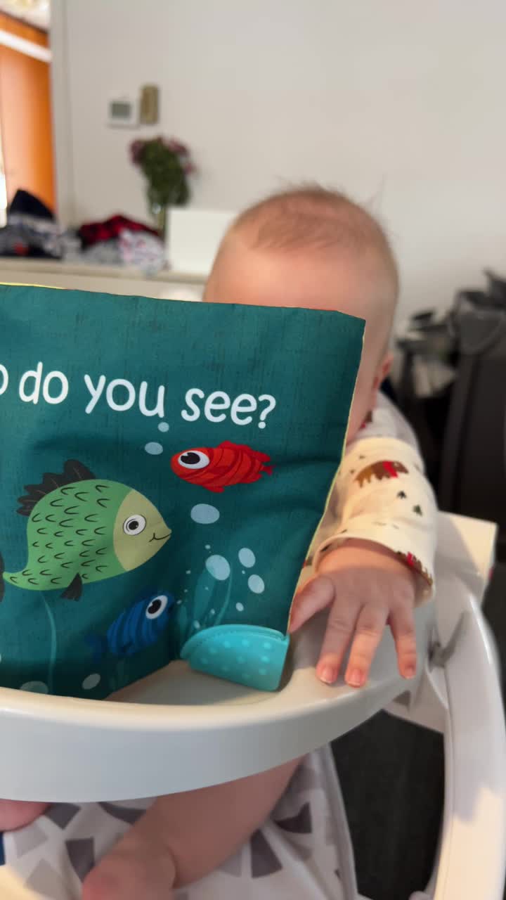 The Ocean Adventure Crinkle Baby Sensory Play Book with Teether Ring