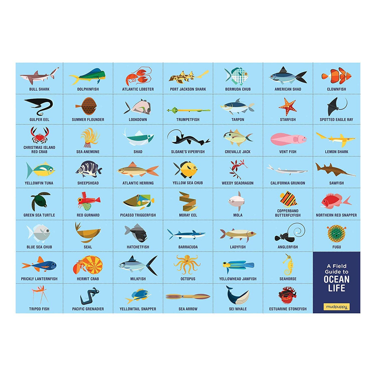 Montessori Ocean Life Puzzle