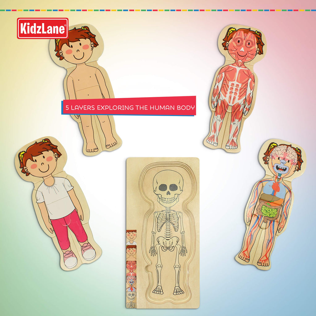The Human Body Puzzle - Girl